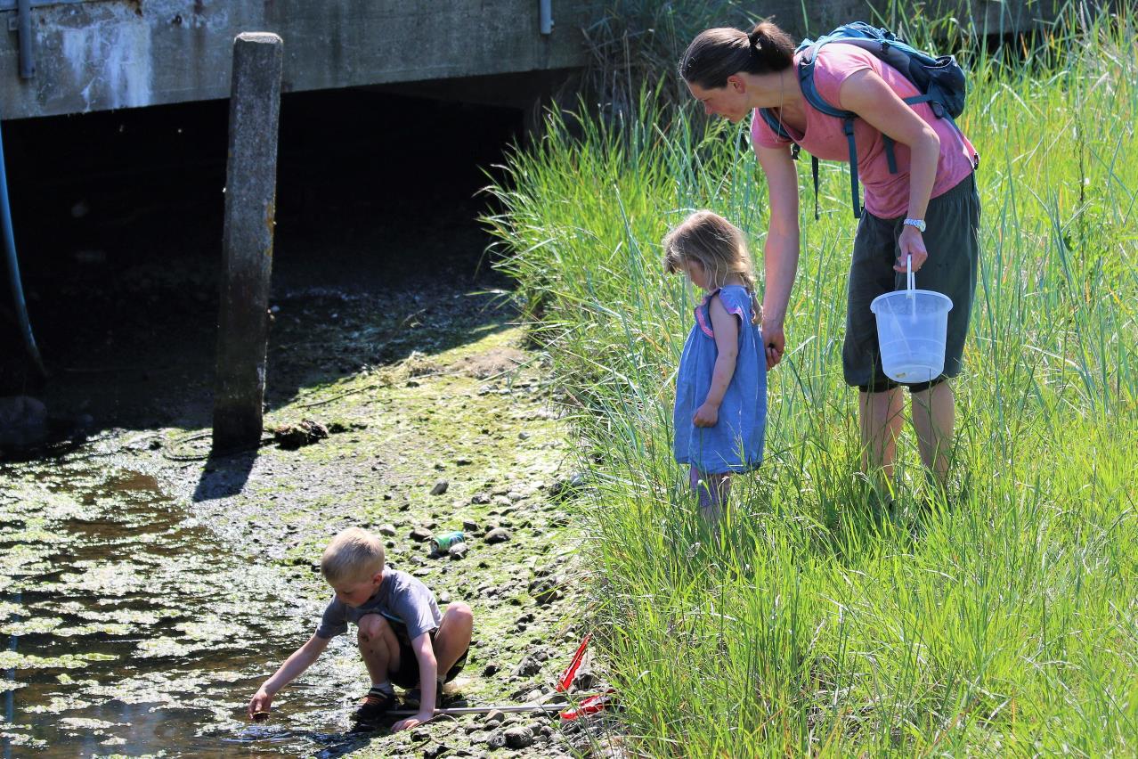 Mor og to børn stå i vandkanten og indsamler fund
